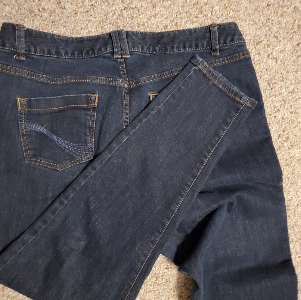 Lane Bryant Jeggings